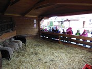 Výlet do svíčkárny Šestajovice